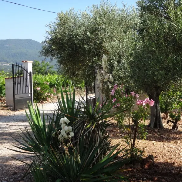 Location saisonnière à Cuers