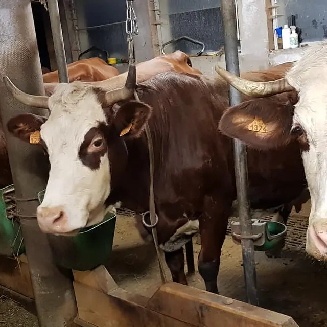 Ferme de la Gardette