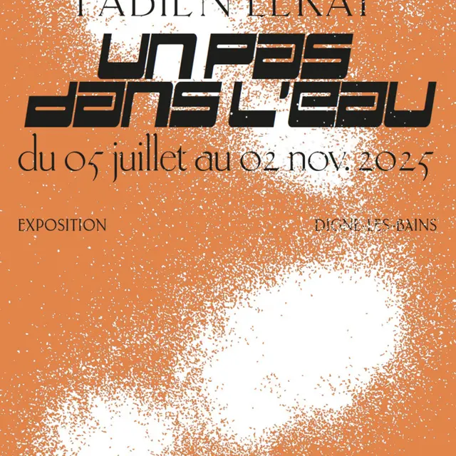 Fabien Lerat. Un pas dans l'eau : visite commentée