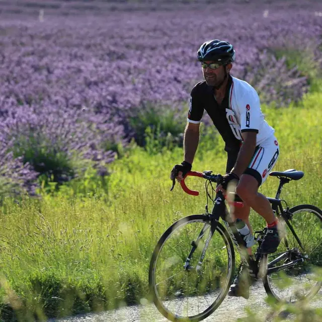 La route de la Lavande