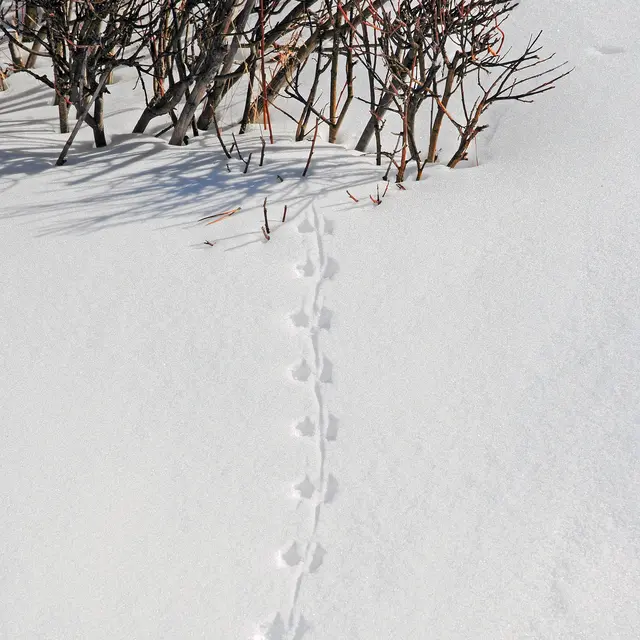Affiche Un instant au marché