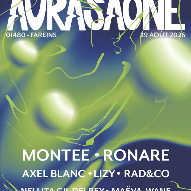 Festival de musique électronique Aurasaône