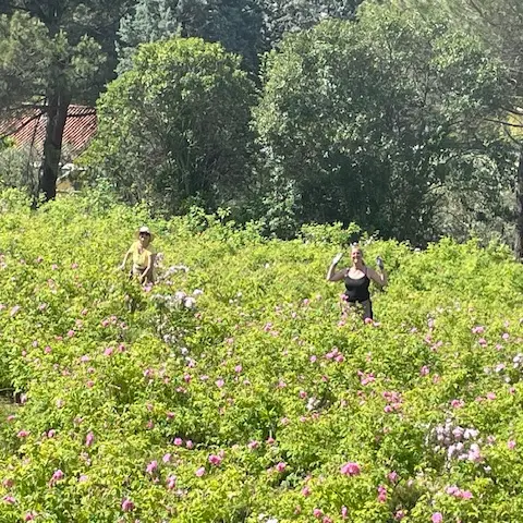 La Clef des Roses_Grasse