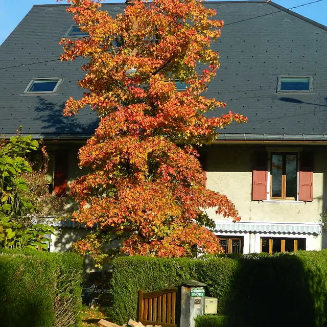 La Maison de Marie_Doussard
