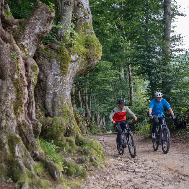 Étape 3 - Renaison > La Verrerie_Renaison
