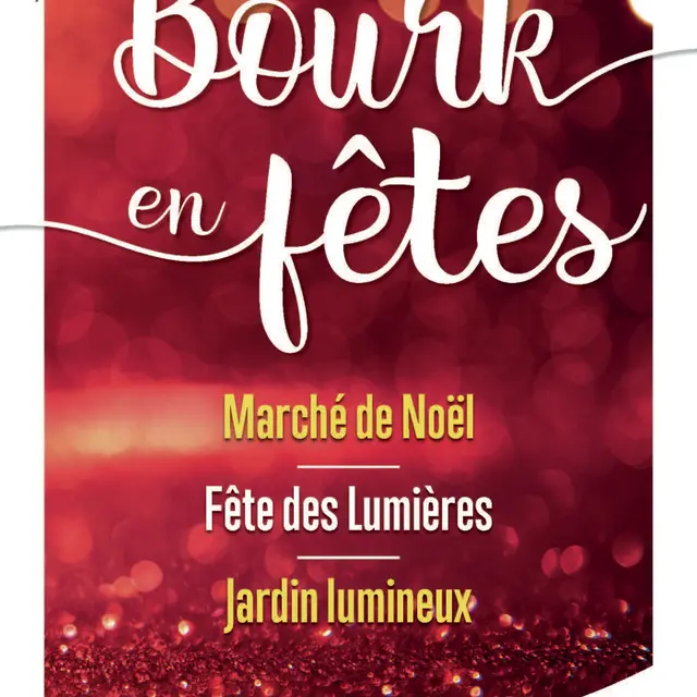 Bourk en Fêtes - Jardin de lumière_Bourg-en-Bresse