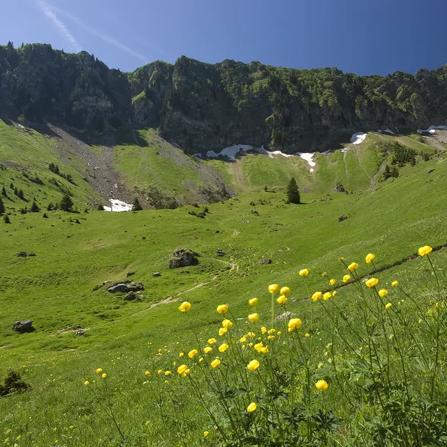 Randonnée à l'alpage de Graydon_Essert-Romand