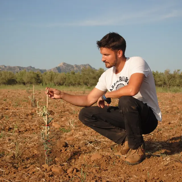 Amouriès - Domaine Delabarre Mouriès producteur Lucas