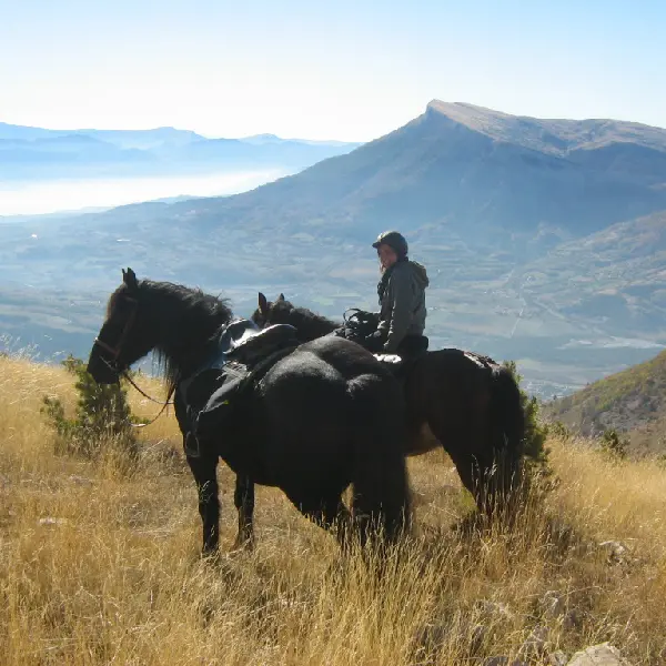 Les Sabots de Vénus à La Roche des Arnauds