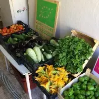 Potager des Salles