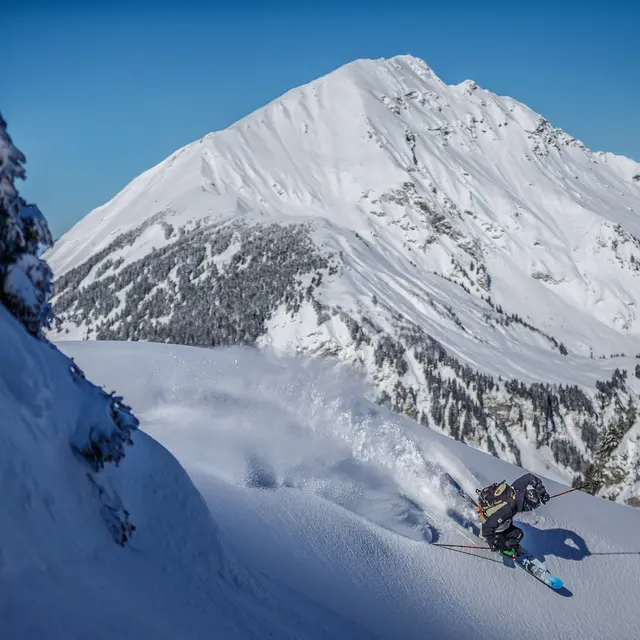 Freeride