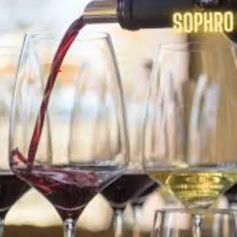 Atelier École des Vins - Détente dans les vignobles de la Vallée du Rhône_Avignon