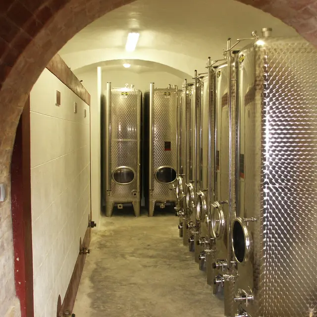 domaine Saint Michel