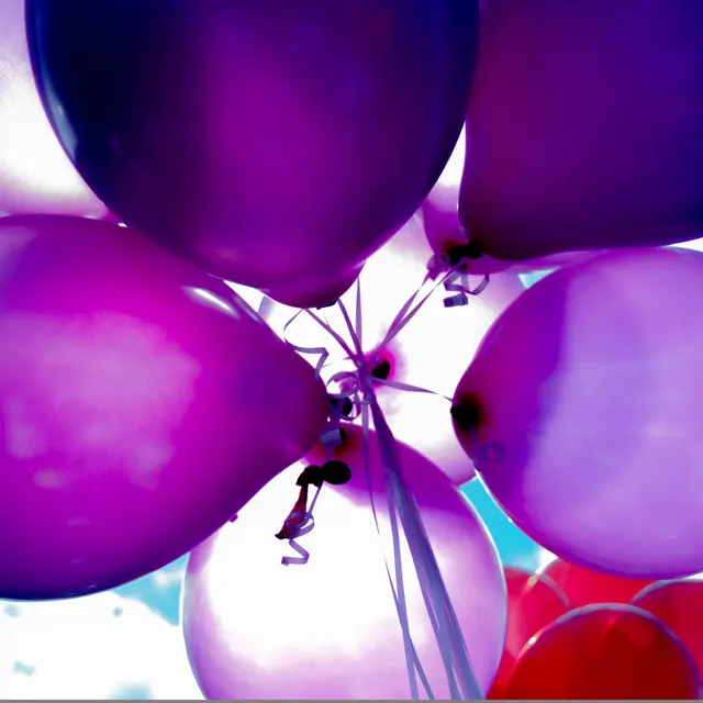 Fête patronale des Pourcelles_Les Mées