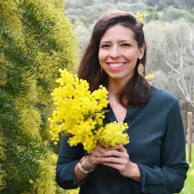 Madame Mimosa_Bormes-les-Mimosas