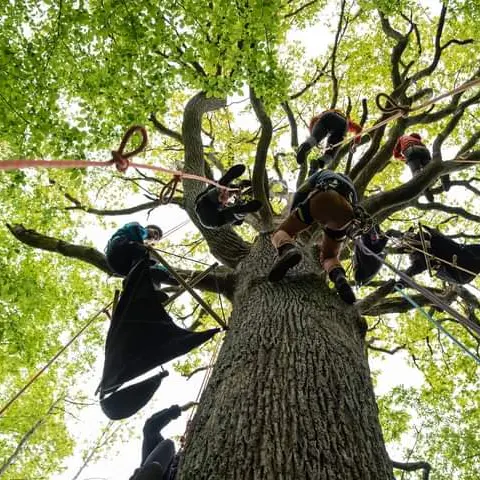 Posez vos valises auprès de nos arbres_Saint-Gervais-sous-Meymont