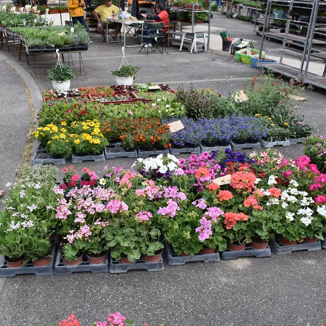 Fête des fleurs et du miel