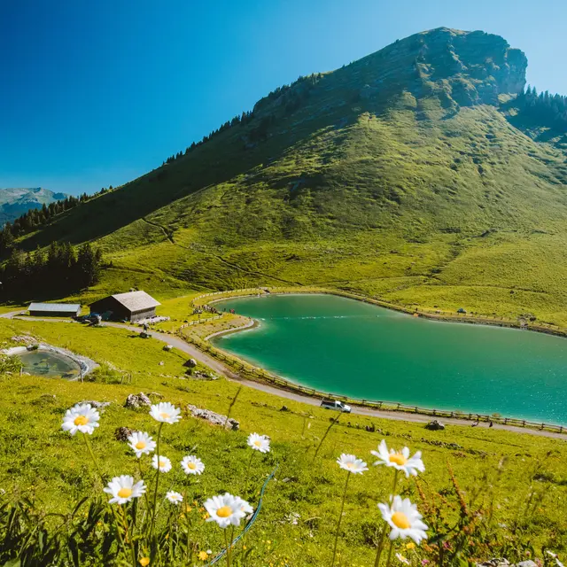 Lac de Nyon-Guérin