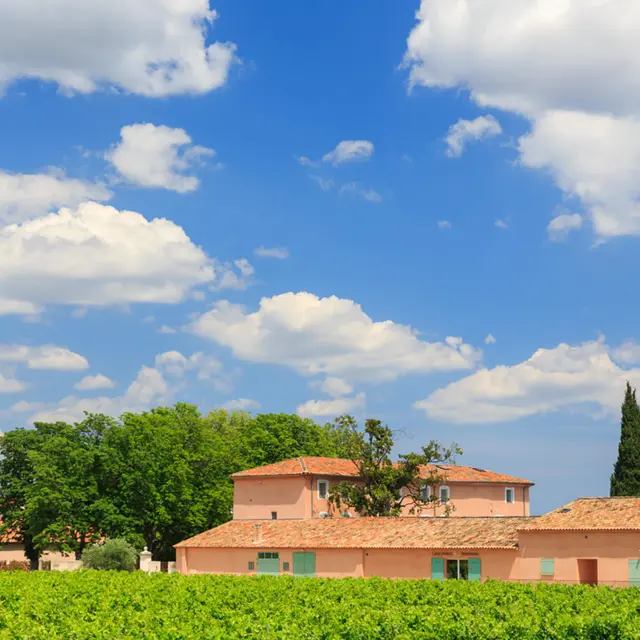 Château Paradis_Le Luc