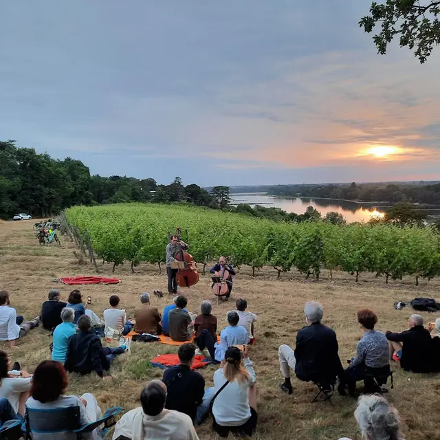 Musique dans les vignes_Savennières