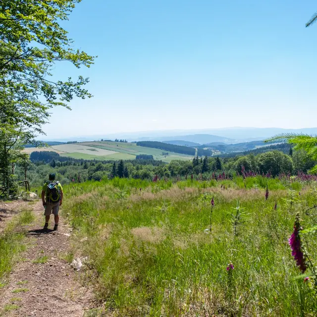 Itinérance au cœur des Monts de la Madeleine_Saint-Alban-les-Eaux
