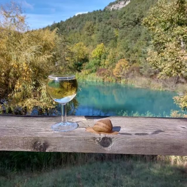 Les escargots du lac_Val-de-Chalvagne