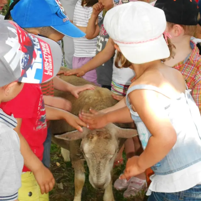 Ferme Seguin