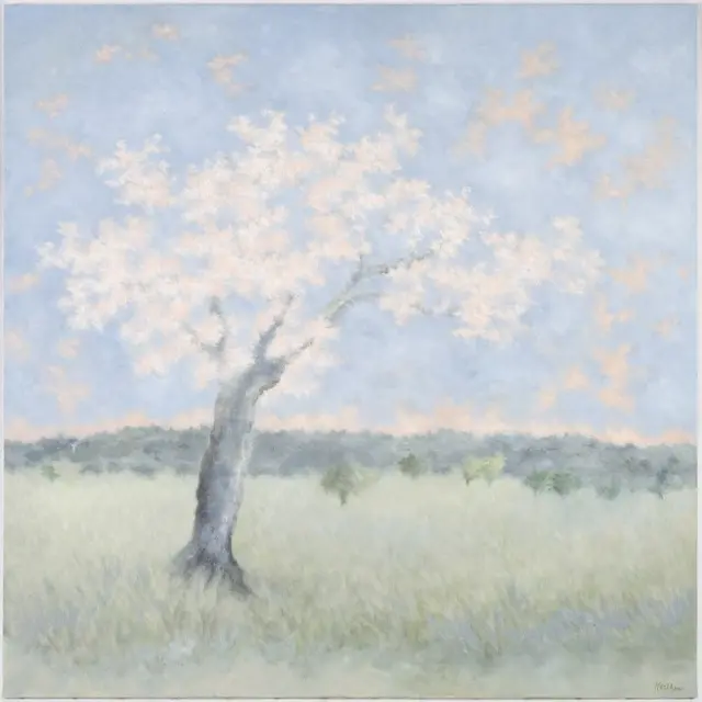 Arbre blossom