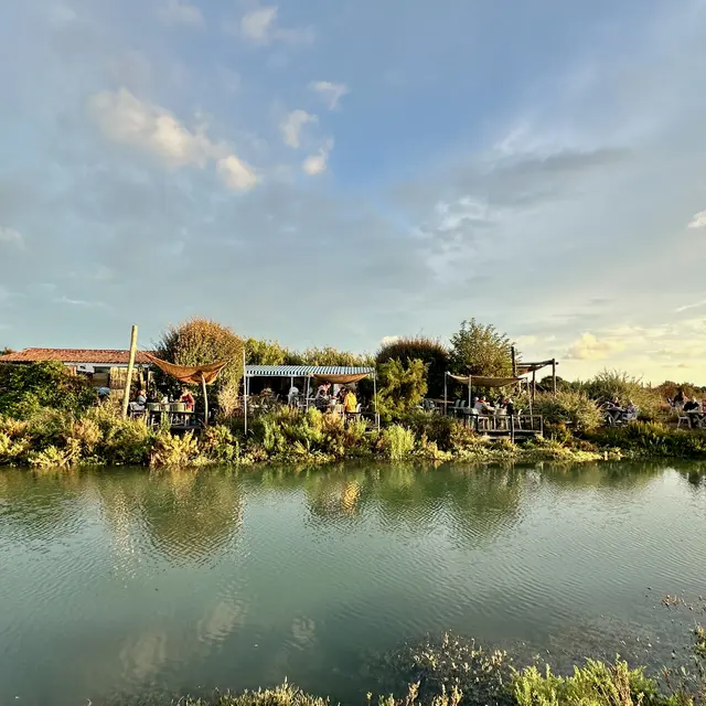 La Cabane au milieu des marais