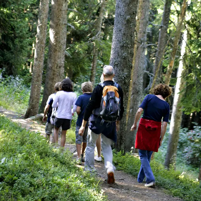 Sentier découverte forestière