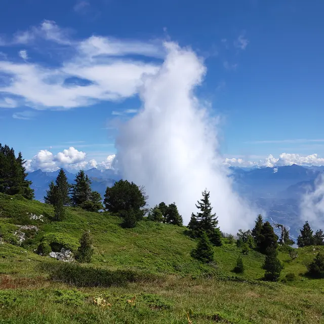 Randonnée sportive_Entremont-le-Vieux