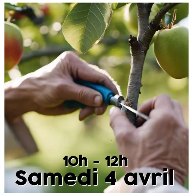 Atelier greffe_Abondance