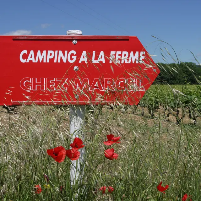 chezmarcel