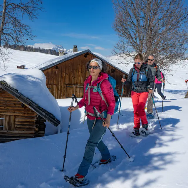 Douceurs à l'alpage_Les Saisies