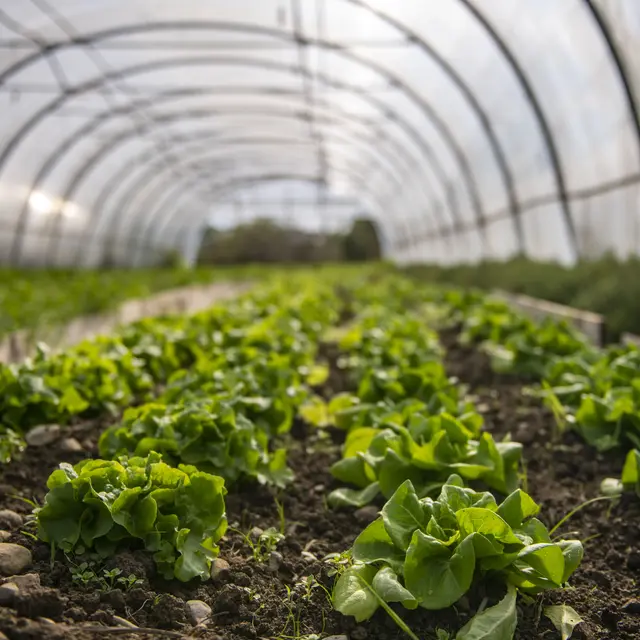 Atelier pratique : faire son jardin de A à Z_Annecy