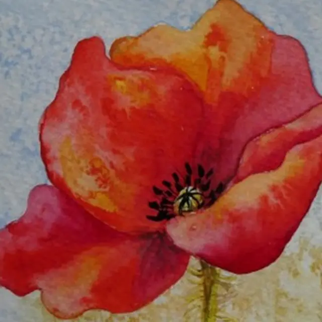 Exposition Voyage à l'aquarelle en Ubaye_Jausiers