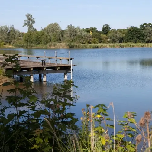 Parc départemental de la Boucle de Montesson