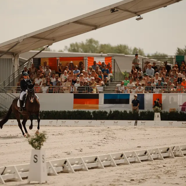 Championnat d'Europe de Dressage Crozet 2025