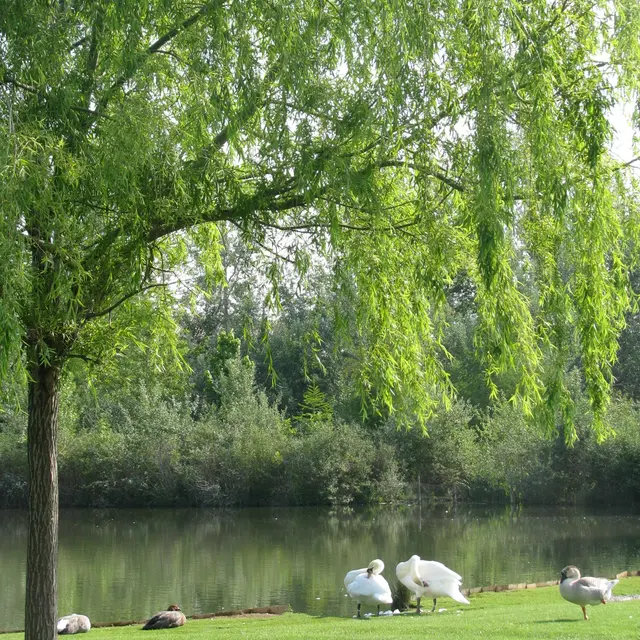 L'arboretum Le jardin de Gaston