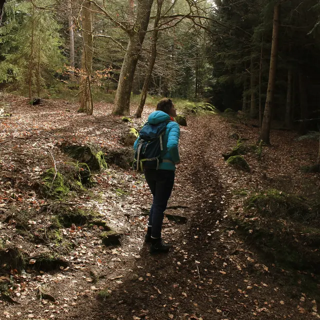 Circuit des mégalithes