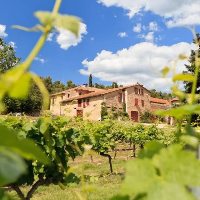 Domaine de Saint Ferréol - Pontevès