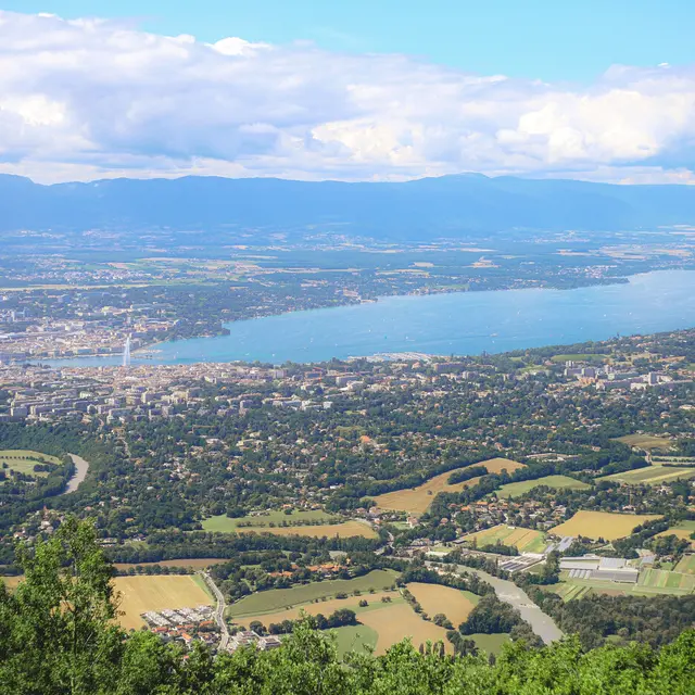 Vue sur le lac Léman et Genève depuis le Salève