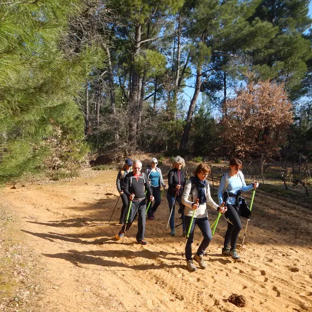 Nordic Vaucluse Evasion