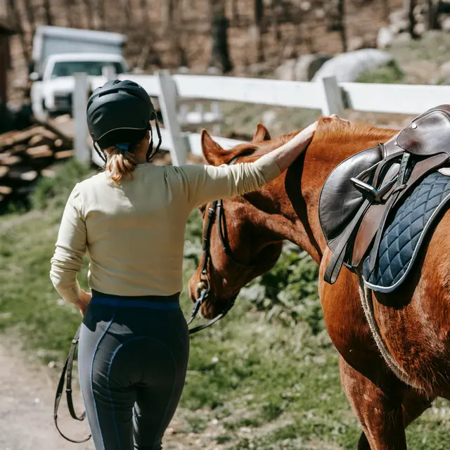 Cours d'équitation aux Murettes_Roquebrune-sur-Argens