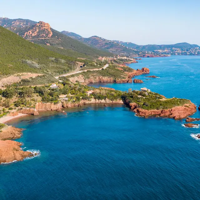L'hiver en Estérel Côte d'Azur, entre carnavals et mimosa