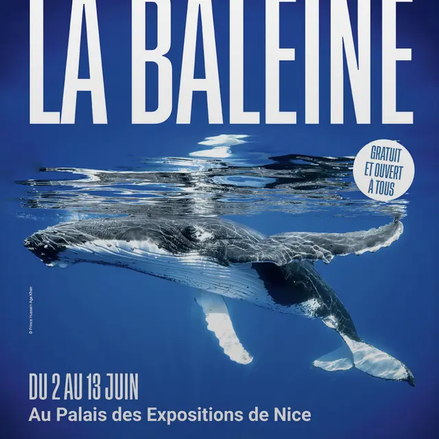 La Baleine_Nice