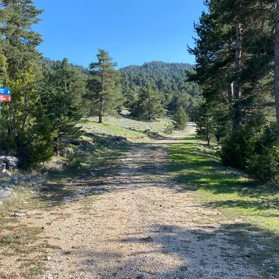 Parcours Découverte Trail Gréolières 1400_Gréolières