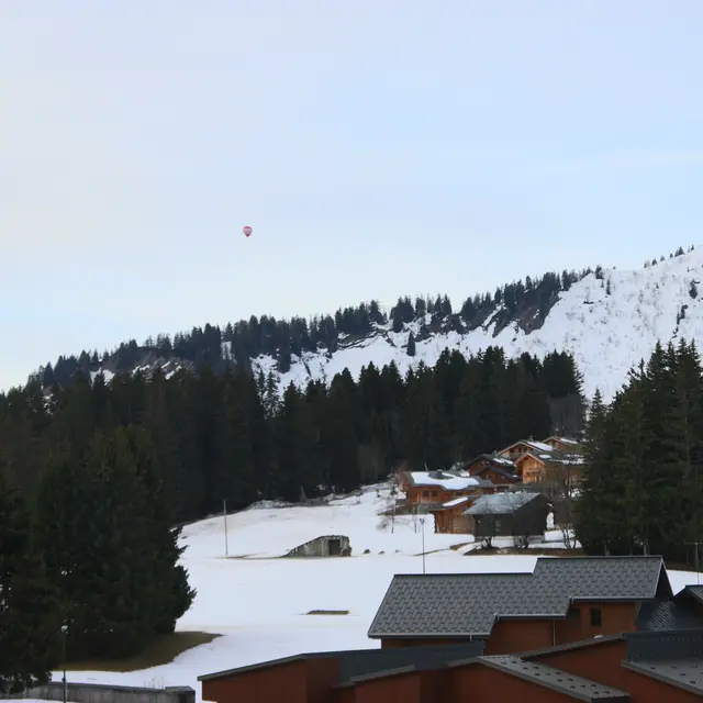 Les Pralyssimes - 20 m² - n°636_Taninges