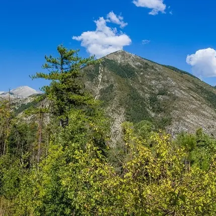 Tour de Piegut et sentier botanique