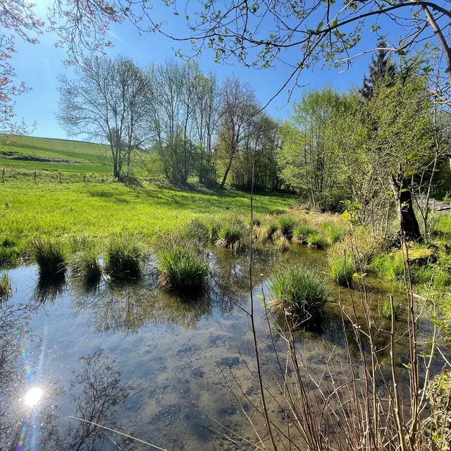 Tourbière et marais
